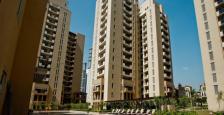 Luxury Apartment For Rent in Gurgaon